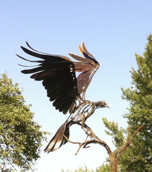 Osprey Landing | Public Sculptures by Wendy Klemperer Art Inc. Item composed of steel