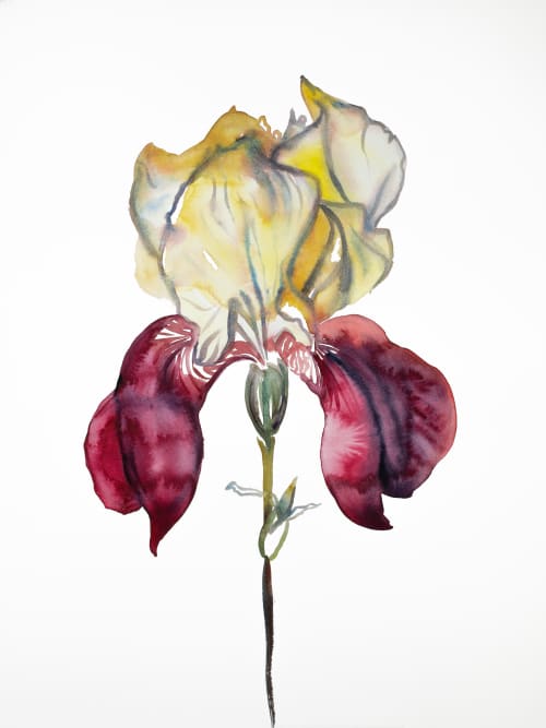 Iris No. 105 : Original Watercolor Painting | Paintings by Elizabeth Beckerlily bouquet. Item made of paper works with minimalism & contemporary style