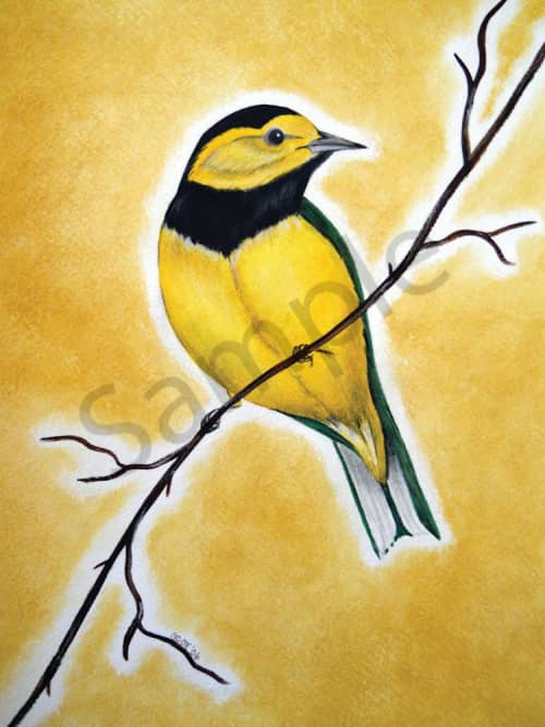 Yellow Bird | Prints by LaShonda Scott Robinson. Item made of wood with canvas works with contemporary & traditional style
