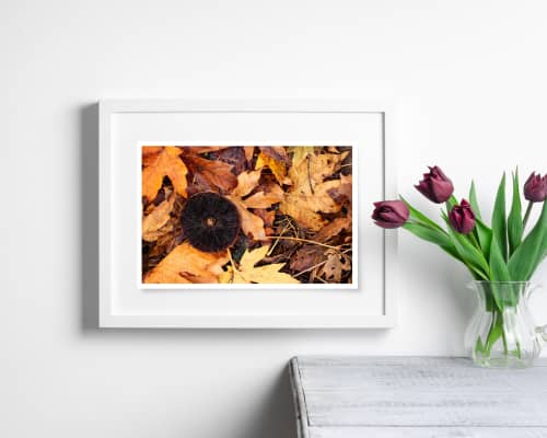 Photograph • Mushroom, Autumn Leaves, Fall, Fungi, Woodland | Photography by Honeycomb. Item made of metal & paper