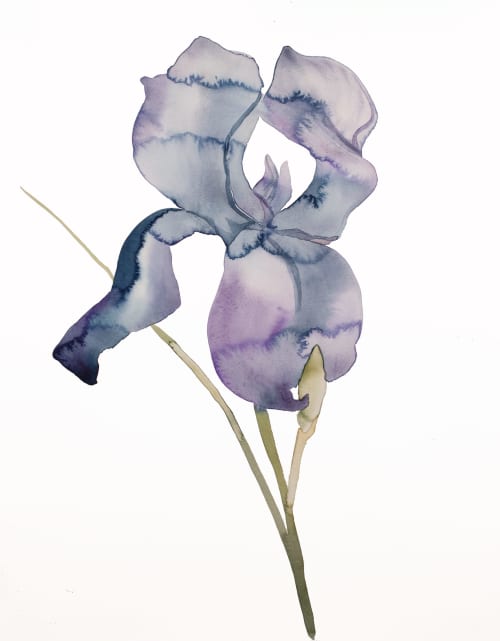 Iris No. 171 : Original Watercolor Painting | Paintings by Elizabeth Becker. Item composed of paper compatible with minimalism and contemporary style