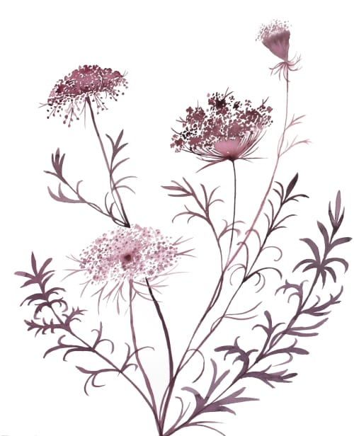 Queen Anne's Lace No. 20 : Original Watercolor Painting | Paintings by Elizabeth Beckerlily bouquet. Item composed of paper in boho or minimalism style
