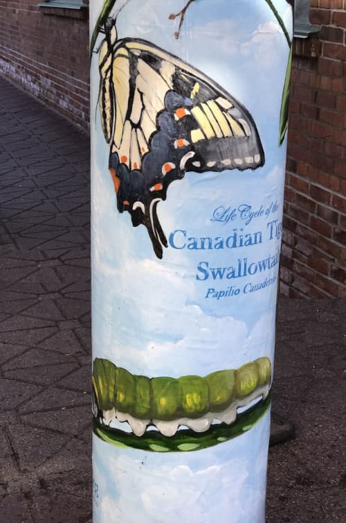 Life Cycle of the Canadian Swallowtail | Street Murals by Murals By Marg | Carrot Common in Toronto. Item composed of synthetic