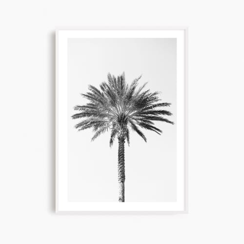 Minimalist black and white 'Palm Tree' photography print | Photography by PappasBland. Item made of paper works with minimalism & contemporary style