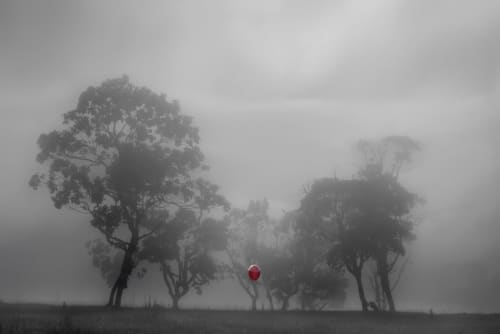 We Are Because of Them – Fine Art Photography | Photography by ANDRES GALAN. Item made of canvas & aluminum compatible with contemporary and modern style