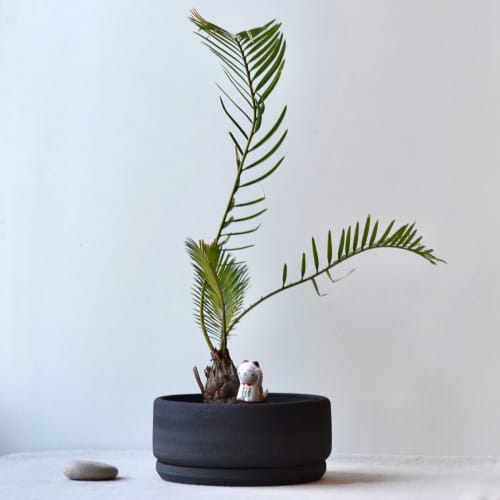 Lucky Cat Trio: Japanese Porcelain Maneki Nekko Figurines | Ornament in Decorative Objects by Maia Ming Designs. Item in japandi style