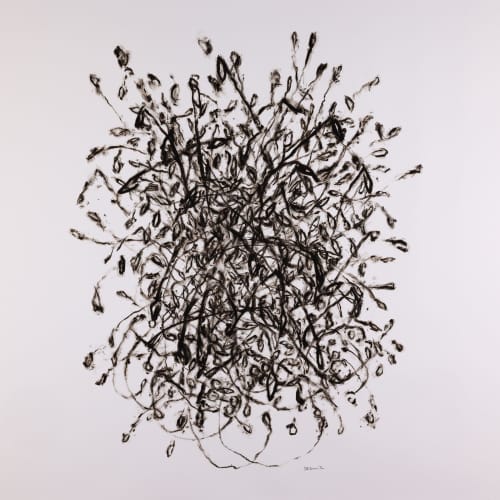 Sunflower Seeds | Drawings by Sally K. Smith Artist. Item made of paper compatible with minimalism and contemporary style