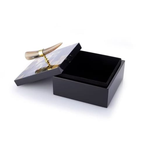 Luxury Horn Handle Decorative Box – Black Gloss Finish | Decorative Objects by Finara