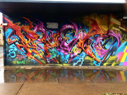 Mural | Street Murals by Heesco | Broken Hill Art Exchange in Broken Hill. Item composed of synthetic