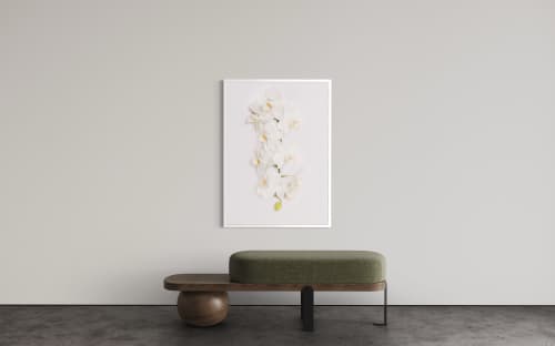 Orchid Botanical Art Print White Cloud | Photography by Tal Shpantzer | Talfoto Studio
