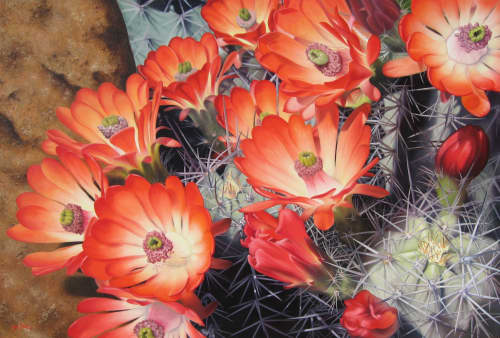 'Claret Cup Cactus' Original Oil Painting (SOLD) | Oil And Acrylic Painting in Paintings by Jenny Stewart's Fine Art. Item made of canvas works with contemporary & rustic style