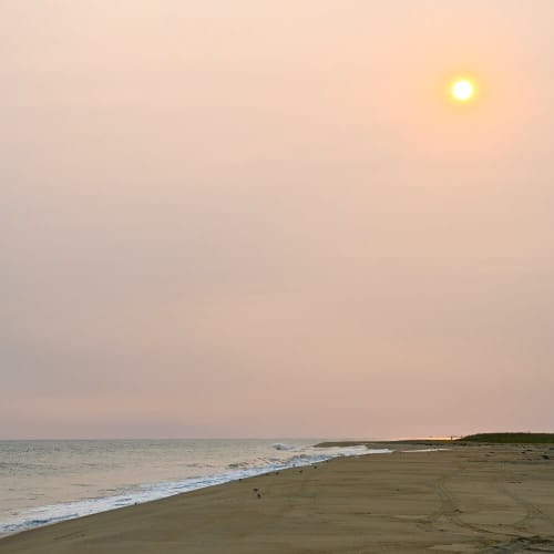 Summer Set | Photography by Neon Dunes by Lily Keller