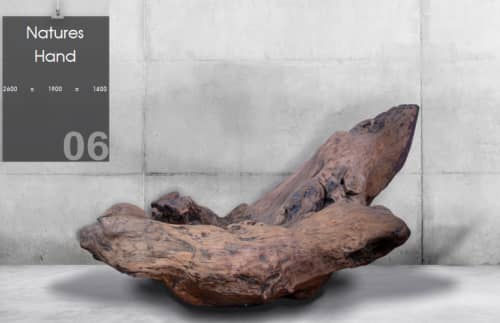 Natures Hand | Sculptures by Andrew Chaplin. Item composed of wood
