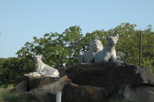 Lion Pride by Darrell Davis, NSG | Public Sculptures by JK Designs and the National Sculptors' Guild