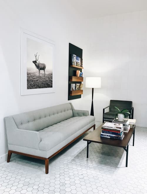 Calm Caribou | Photography by Alice Zilberberg. Item composed of paper