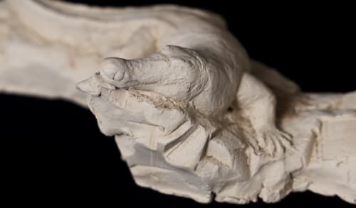 Das Krokodil – An Echo of Ancient Stillness | Decorative Objects by Holzkunst Samuel Meisinger. Item composed of cement compatible with contemporary and art deco style