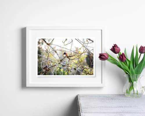 Photograph • Spotted Towhees, PNW, Oregon, Woodland, Bird | Photography by Honeycomb. Item composed of metal and paper