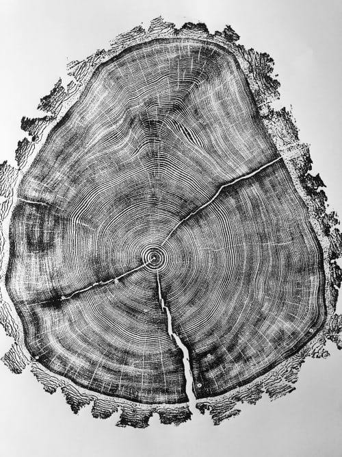 Douglass fir from Uinta Mountains in Utah. | Prints by Erik Linton. Item made of paper
