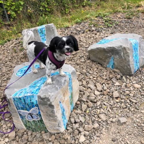 Tigard Outdoor Museum Trail Boulders | Public Mosaics by JK Mosaic, LLC. Item made of stone with glass
