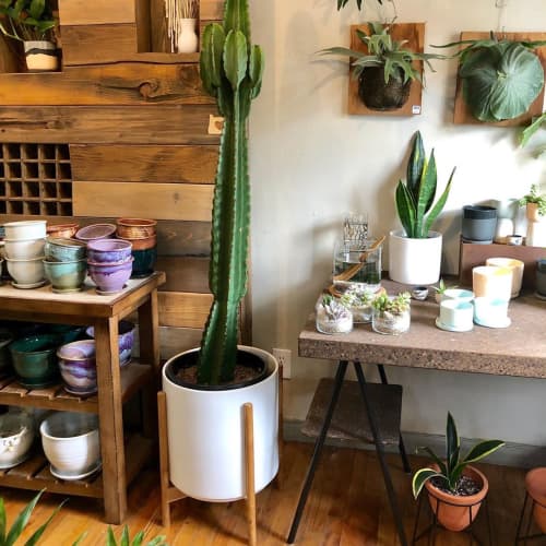Revival Ceramics Planters | Vases & Vessels by LBE Design | hammer + vine in Portland. Item made of ceramic