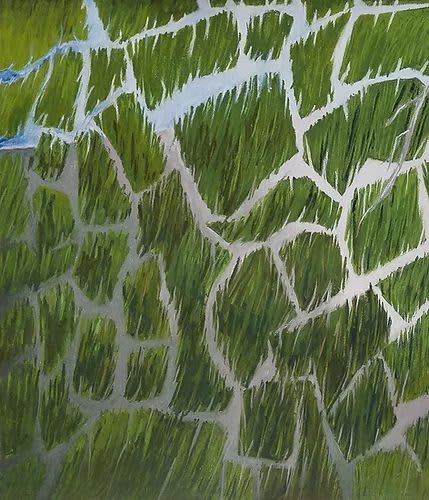 In The Land Of Swampy | Drawings by Elvira Dayel. Item composed of paper