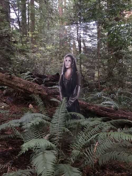 Carrie Fisher Tribute Art Installation | Public Sculptures by Shane Grammer Arts | Avenue of the Giants Southern Entrance in Myers Flat. Item composed of synthetic