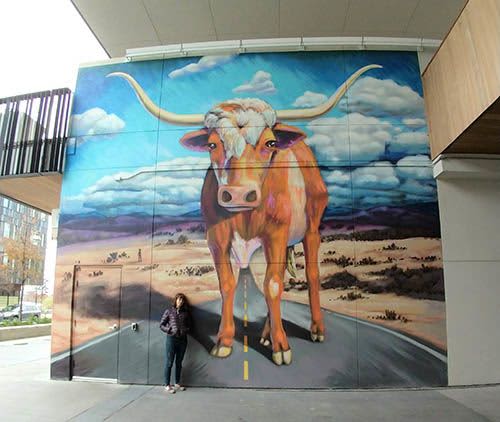 Long Horn | Street Murals by Helena Martin | Lamar Union Apartments in Austin. Item composed of synthetic