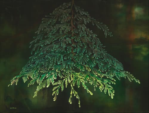 Western Red Cedar Branch Print | Prints by Sarah Stivers | The Joinery in Portland. Item composed of paper in boho or minimalism style