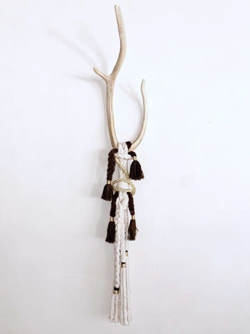 Reborn | Wall Sculpture in Wall Hangings by Gissell Studio - Fiber & Botanical Art. Item made of cotton with fiber