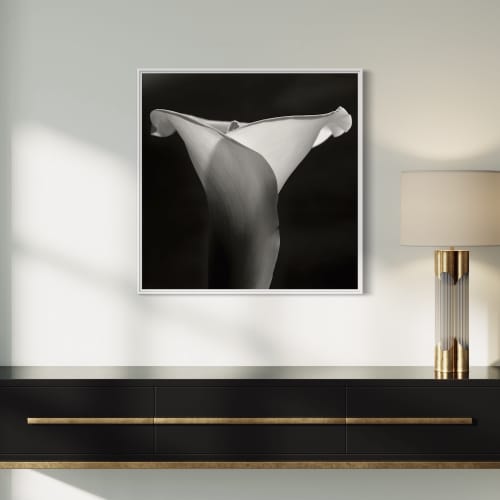 Shadow dance | Photography by Dario Moschetta. Item made of wood & canvas compatible with contemporary and modern style