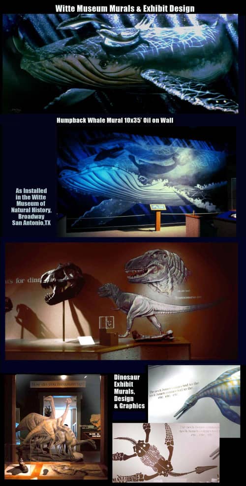 Witte Museum wall graphics & murals | Murals by Dan Terry | Witte Museum in San Antonio. Item made of synthetic