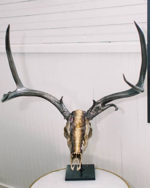 Natural Python Stripe On An Atypical Deer | Ornament in Decorative Objects by Gypsy Mountain Skulls | The Cathedral in Austin. Item composed of wood in contemporary or country & farmhouse style