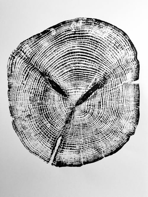 Alaskan Cedar, Original Tree ring print on 18x24 inch paper by Erik ...