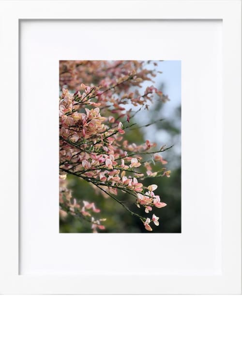 Sunday Walk | Photography by KNOF design. Item works with contemporary & country & farmhouse style