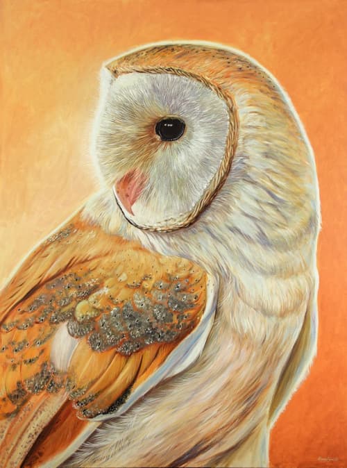 Bella - Barn Owl | Paintings by Ebony Bennett - Birdwood Illustrations | Aarwun Gallery in Canberra