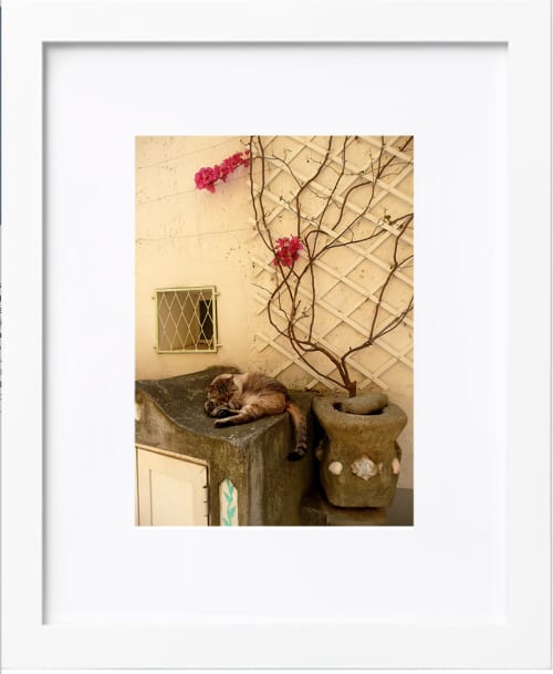 Pisolino del Gatto | Photography by KNOF design. Item works with contemporary & coastal style