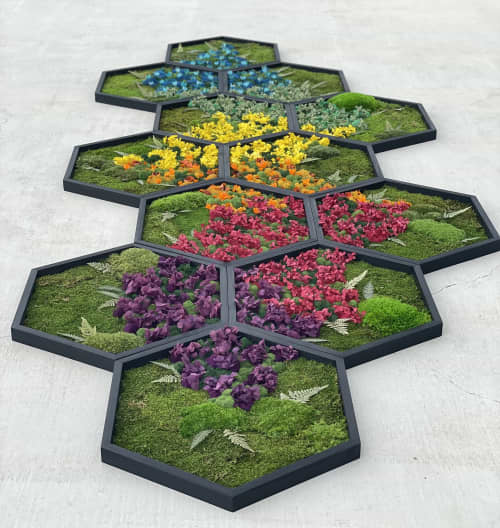 Rainbow Hexagon Moss Art XL 24" Frames | Wall Hangings by Mosstique. Item composed of wood in boho or eclectic & maximalism style