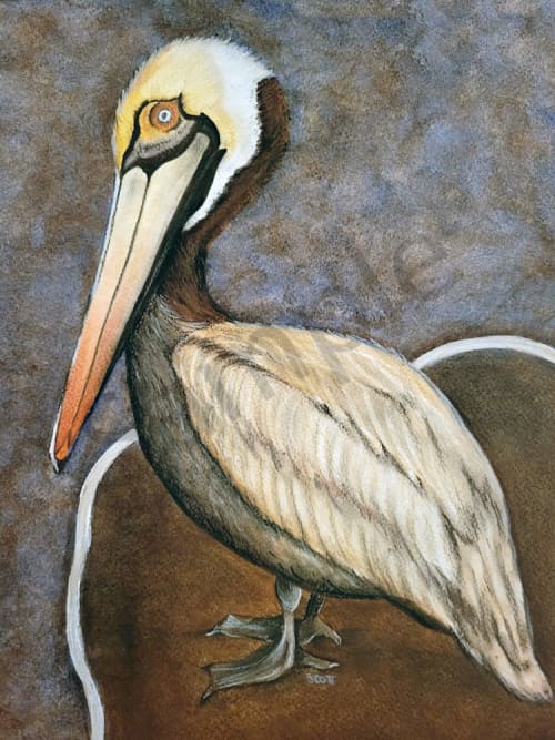 Pelican | Prints by LaShonda Scott Robinson. Item made of paper compatible with contemporary and traditional style