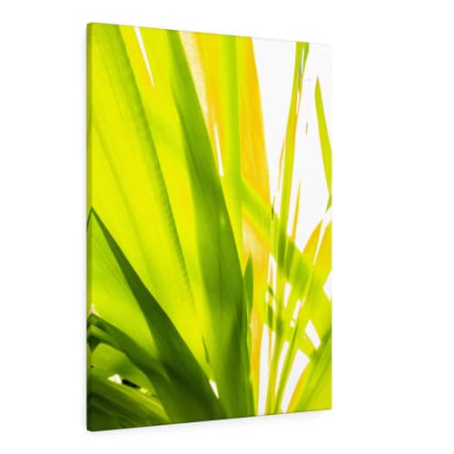 Sunkissed_3613  --  the life-giving energy of nature | Prints in Paintings by Petra Trimmel. Item composed of canvas and paper