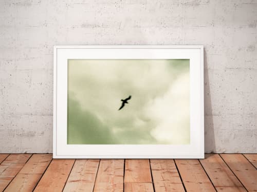 Bird | Limited Edition Print | Photography by Tal Paz-Fridman | Limited Edition Photography. Item made of paper works with minimalism & contemporary style