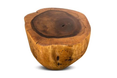 Carved Live Edge Solid Wood Trunk Table ƒ35 by Costantini | Side Table in Tables by Costantini Design. Item composed of wood