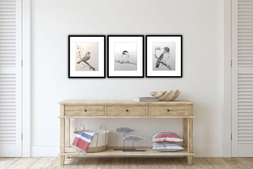 Purple Finch | Drawings by Maurice Dionne FINEART. Item made of paper