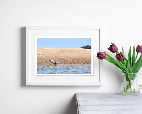 Photograph • Seal, England, Norfolk, Coastal, Nautical | Photography by Honeycomb. Item made of metal with paper works with coastal style