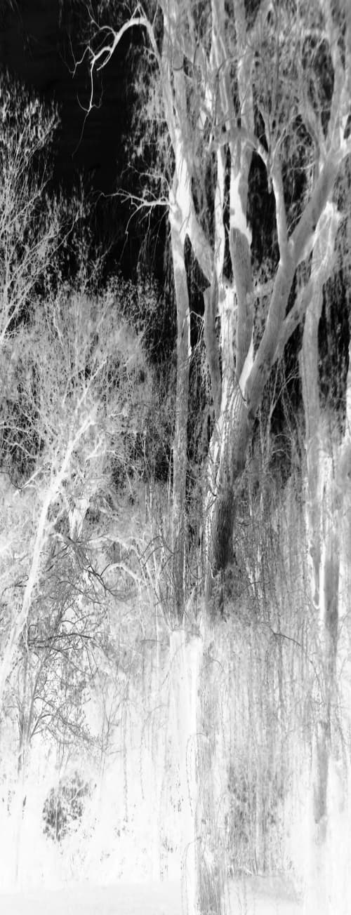 Unique digital print: aura | Digital Art in Art & Wall Decor by sally Duback