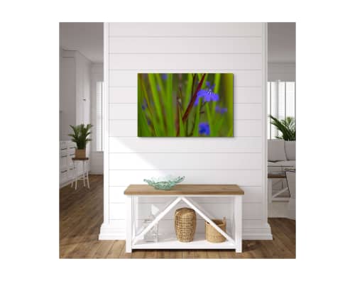 Lobelia and blood grass Digital-only offering exclusively | Photography by Caroyl La Barge›. Item composed of canvas and paper in contemporary or country & farmhouse style