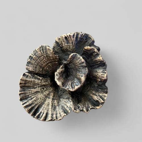 Forest Floor pull | Hardware by The Vula Collection. Item composed of bronze