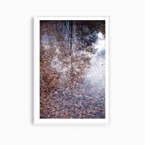 Contemporary natural decor, 'Autumn Detritus' photograph | Photography by PappasBland. Item composed of paper in contemporary or country & farmhouse style
