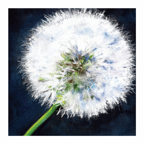 The Wish | Oil And Acrylic Painting in Paintings by Jenny Partrite. Item made of paper