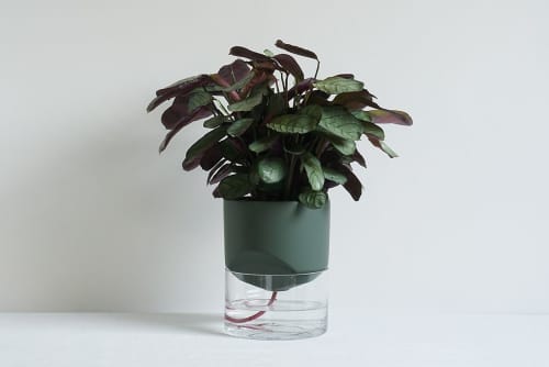 Kapi big green | Planter in Vases & Vessels by Krafla. Item composed of ceramic and glass in minimalism or contemporary style
