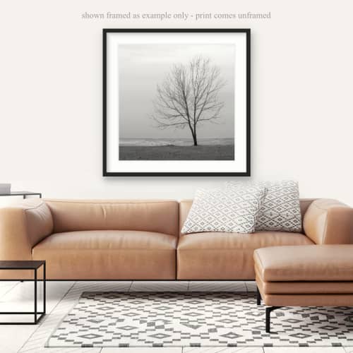 Lakeshore Tree in Winter, Original Photography, Print | Photography by Nicholas Bell Photography. Item composed of paper in minimalism or contemporary style